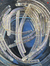 Load image into Gallery viewer, Da Fish Stick (2.25 inch length) - Special Fish Stick Packs