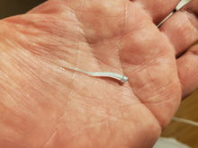 Load image into Gallery viewer, Alpha Worm (2 Inch Length) with Glow