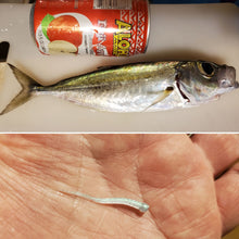 Load image into Gallery viewer, Akule caught with a Baby Blue Glow Da Fry