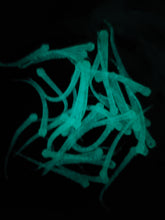 Load image into Gallery viewer, Alpha Worm (2 Inch Length) with Glow