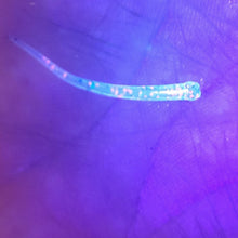 Load image into Gallery viewer, Color Code 0017: Clear Plastic with Pink Glitter, Silver Glitter, and Blue Glitter with UV (1.5 Inch DA Fry under UV Light))