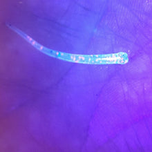 Load image into Gallery viewer, Color Code 0017: Clear Plastic with Pink Glitter, Silver Glitter, and Blue Glitter with UV (1.5 Inch DA Fry under UV Light))
