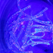 Load image into Gallery viewer, Color Code 0042: Pink, Blue, Silver Glitter with UV and Green/Blue Glow (Under UV light))