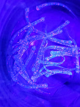 Load image into Gallery viewer, Alpha Worm (2 Inch Length) with Glow