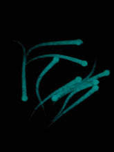 Load image into Gallery viewer, Da Fry with Blue-Green Glow (1.5 Inch Length) - Bluewater Blend