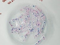 Load image into Gallery viewer, Alpha Worm (2 Inch Length) with Glow