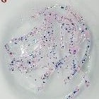 Load image into Gallery viewer, Color Code 0043: Clear plastic with pink, blue, and silver glitter and aqua glow (Normal Lighting)
