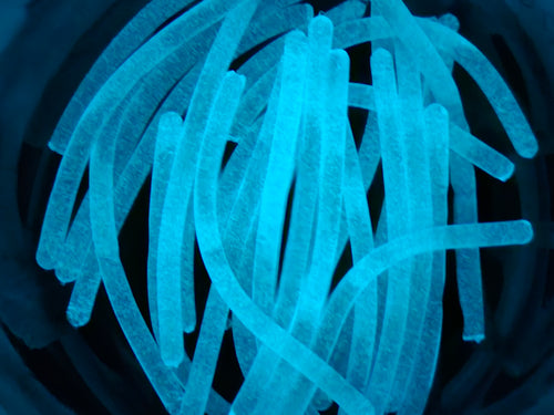 Aqua Glow Fish Sticks