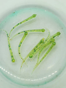 Da Fry with Green Glow (1.5 Inch Length) - Bluewater Blend