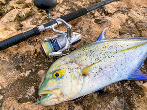 Omilu Caught By Keith Uehara with our 3-Inch  Ice Nehu Crazy "LOLO" Fish