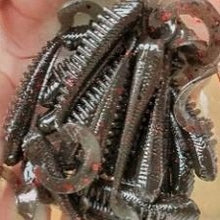 Load image into Gallery viewer, Sea Bugz (1.5 inch) -  NO UV and NO Glow
